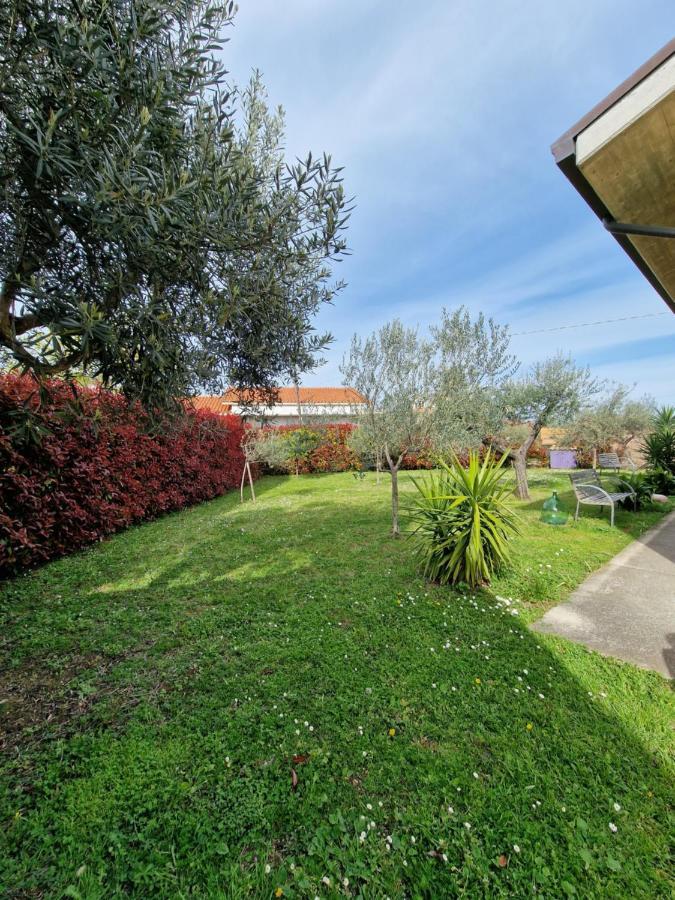 Il Ciliegio Konuk evi Treglio Dış mekan fotoğraf